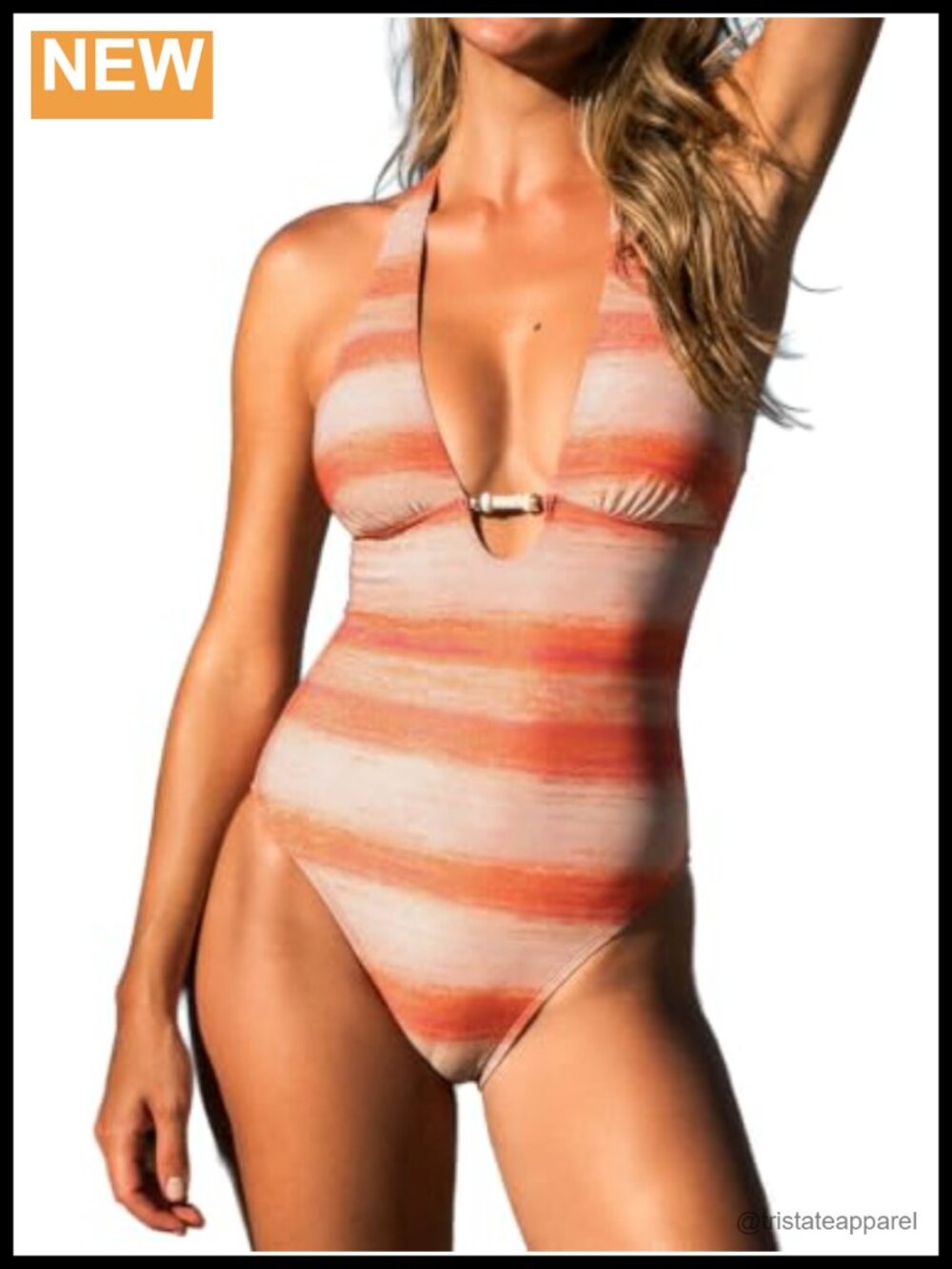 Women's One Piece Swimsuit Plunging V Neck Halter Bathing Suit Swimwear